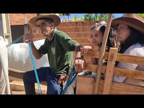 Carreata de boi Sérgio bar Jurema município de Licínio de Almeida Bahia 