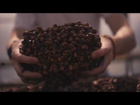 Skugga Estate Short Video