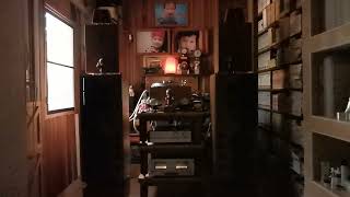 Shelby Lynne : You don&#39;t have to say you love me : Just A little lovin&#39;