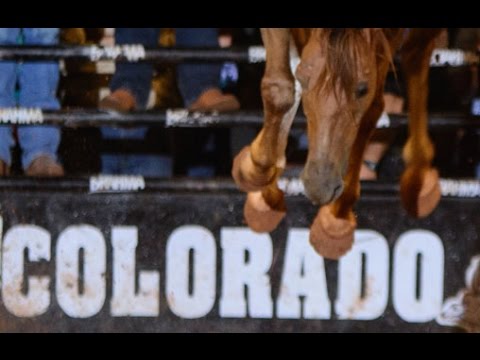 Marco Antônio da Silva Vs Mensageiro SMD 89,75 Pts Festa do Peão de Colorado 2016