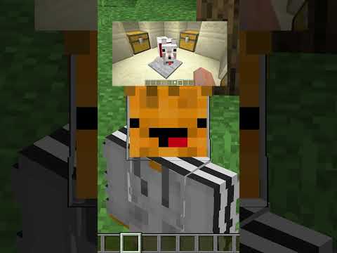 Cursed Minecraft Images: Enough!