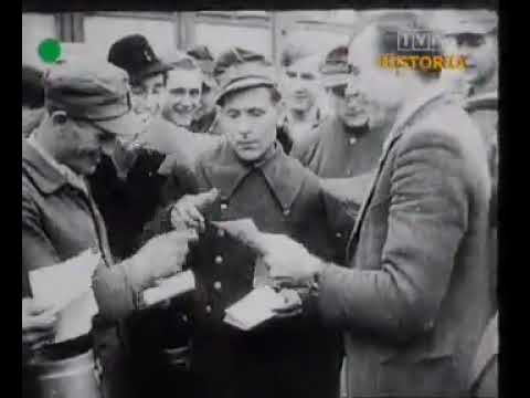 Sensacje XX Wieku Odc.71 Konflikt w Zatoce Świń Dokument PL #Historycznie