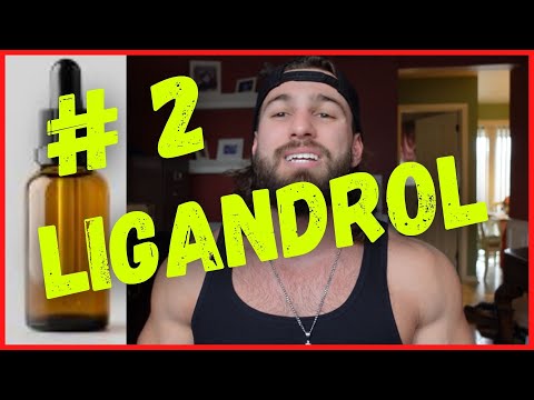 SARM #2: LIGANDROL || LGD4033 || Overview and Analysis