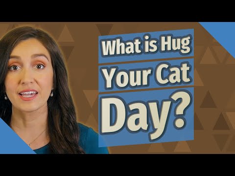 What is Hug Your Cat Day?