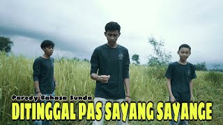 Download lagu DITINGGAL PAS SAYANG SAYANGE | DIGEREBEK PAK RT ( PARODI BAHASA SUNDA ) mp3 Download lagu DITINGGAL PAS SAYANG SAYANGE | DIGEREBEK PAK RT ( PARODI BAHASA SUNDA ) mp3