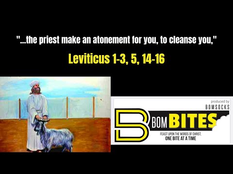 BOM-BITES Episode #546 - Leviticus 1-3, 5, 14-16