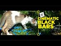 How to Add Cinematic Black Bars in CapCut