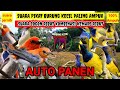 SUARA PIKAT BURUNG KECIL PALING AMPUH ️KOMBINASI SUARA SOGON RIBUT DAN BURUNG KEMADE RIBUT