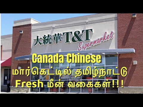 Compras de peixe fresco no mercado chinês / Supermercado chinês T&T / Mercado de peixe fresco no Canadá