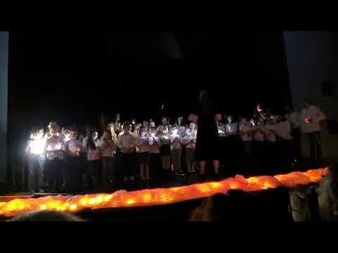 Koníčku můj SENZABAND