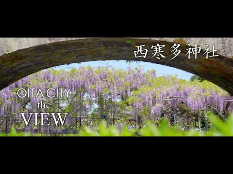 【OITA CITY - the VIEW -】西寒多神社