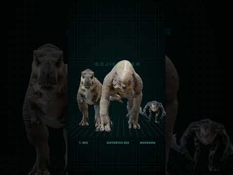 Distortus rex, T. rex, and Mutadon size comparison #jurassicworldrebirth