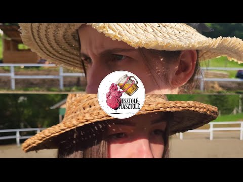 Szesztolé - MMDSZ Diáknapok 2023