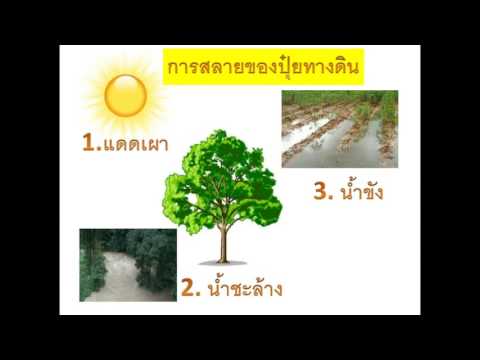 เพิ่มสมาชิกละลาย ไอโอดีนสามารถเพิ่มสมาชิก