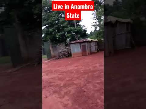 #igbohighlife #igbomusic #travelvlog #pullupyoshorts #abujayoutubers #shortswithmotso #shortsafrica