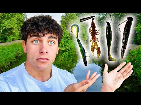 In 15 Minuten Barsch Angeln verstehen!! (Guide) 💥