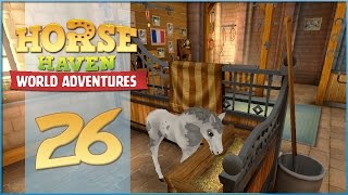 Horse Haven || Quick Steps to Higher Tier Foals!  - Episode #26