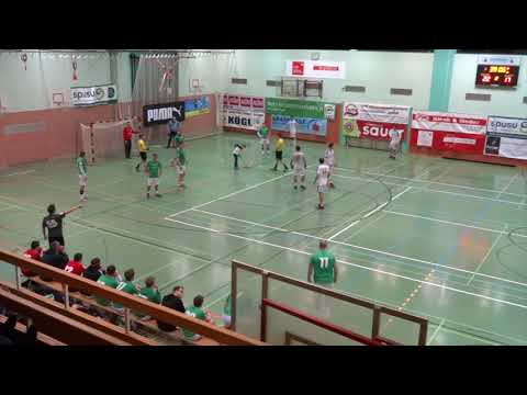 2019.03.02 Falken vs. Kärnten HZ2