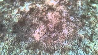 Don't take it to the street