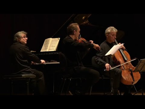 TPLM, Trio Wanderer: Beethoven op. 70 n°1 "Geister-Trio", "Les Esprits", Largo assai ed espressivo