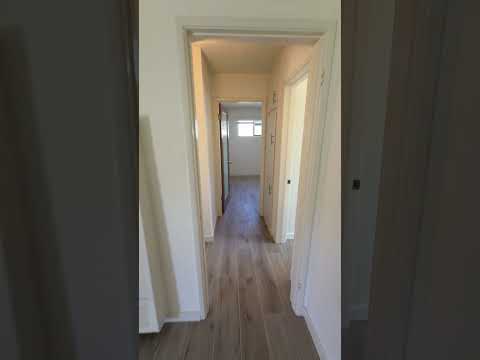 J N - Video 2 of 2