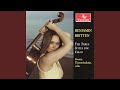 Cello Suite No. 2, Op. 80: V. Ciaccona: Allegro