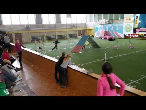 Black panther winning Silesian Open 2017