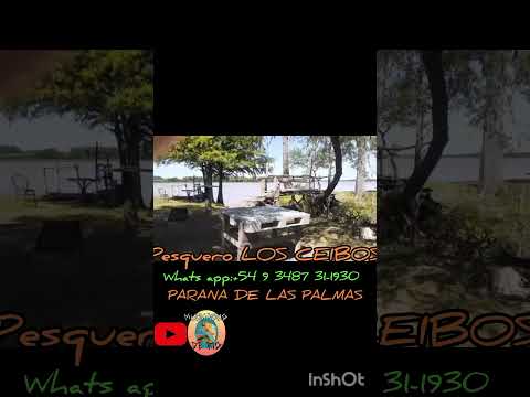 Pesquero los ceibos ,ubicado Río arriba en Paraná las palmas #pesca #lineadepesca #fishing #pescasub