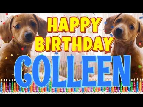 Happy Birthday Colleen! ( Funny Talking Dogs ) What Is Free On My Birthday