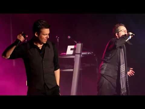 !distain - confession (live in Cologne)