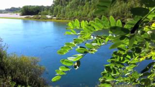 Wellness: Relaxing Spa Sounds - Free Your Mind