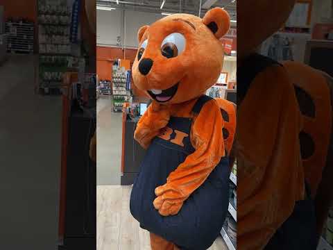 Die Qual der Wahl bei der Farbentscheidung! 🤭🎨 #shorts #obi