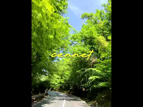 Reynmen - Cennet (Official Music Video)