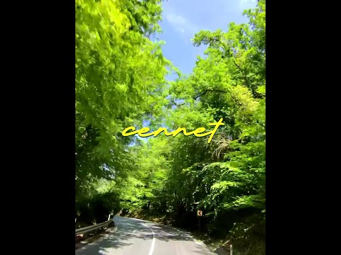 Reynmen – Cennet video