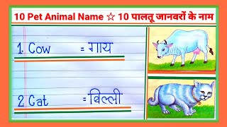 Domestic Animals Hin Eng Watch HD Mp4 Videos Download Free Domestic Animals Hin Eng Watch HD Mp4 Videos Download Free