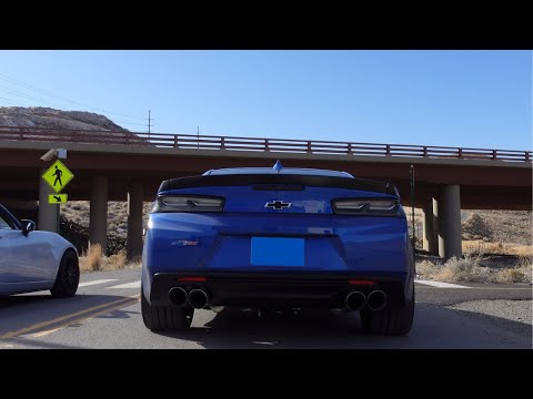 Living With A 1LE (First Month)