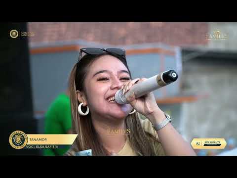 9 Elsa Safitri   Tanamor Live Cover Edisi Kp Masjid Mekar Wangi Tanah Sareal Bogor