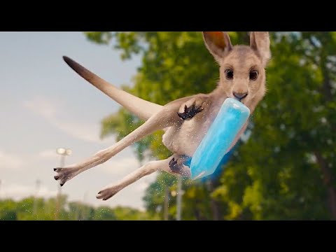 Трейлер