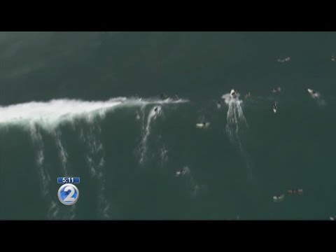 Big wave surfer Laird Hamilton rescues surfer in Malibu