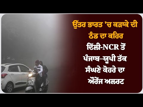 ਉੱਤਰ ਭਾਰਤ 'ਚ ਕੜਾਕੇ ਦੀ ਠੰਡ ਦਾ ਕਹਿਰ, ਦਿੱਲੀ-NCR ਤੋਂ ਪੰਜਾਬ–ਯੂਪੀ ਤੱਕ ਸੰਘਣੇ ਕੋਹਰੇ ਦਾ ਔਰੇਂਜ ਅਲਰਟ !