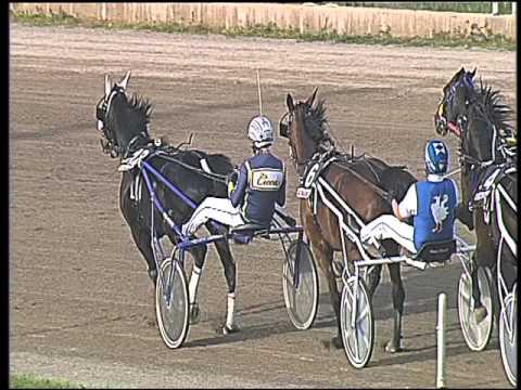 Trotto 03/04/2016 - 7° Corsa