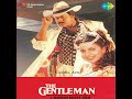 Hum Apne Gam Ko Vinod Rathod Sadhna Sargam The Gentelman