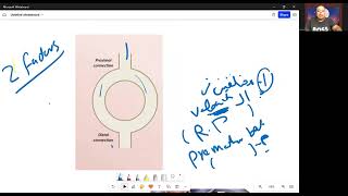 Tachyarrhythmias 1 AVNRT l AVRT kasr alainy شرح