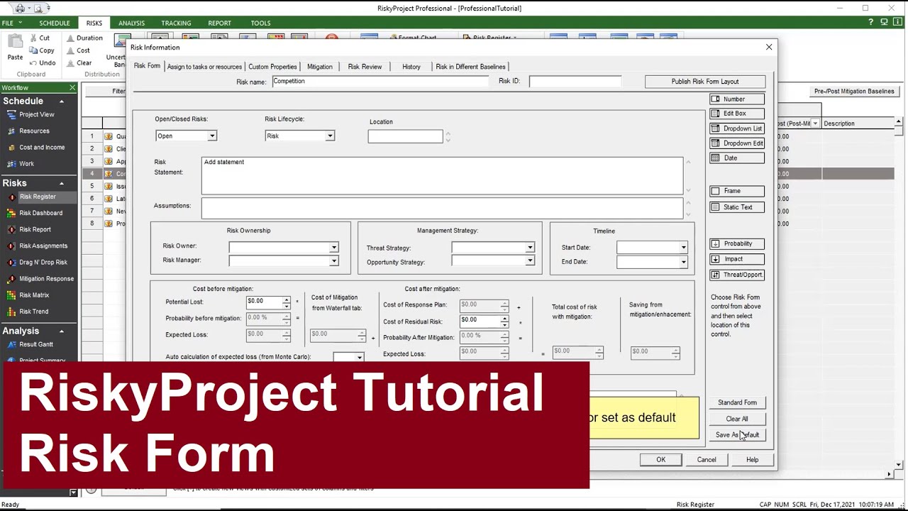 RiskyProject Tutorial: Risk Form