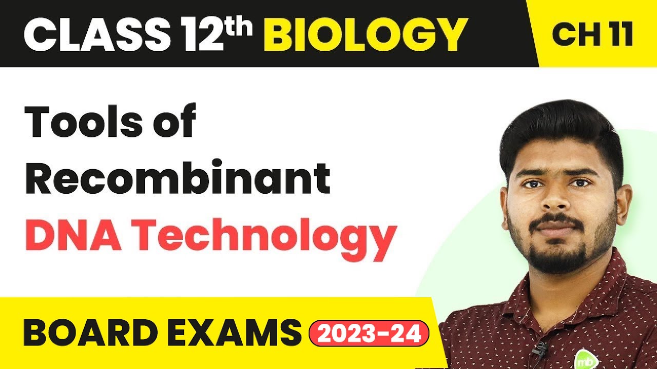 Tools of Recombinant DNA Technology- Biotechnology Principles & Processes | Class 12 Biology 2022-23