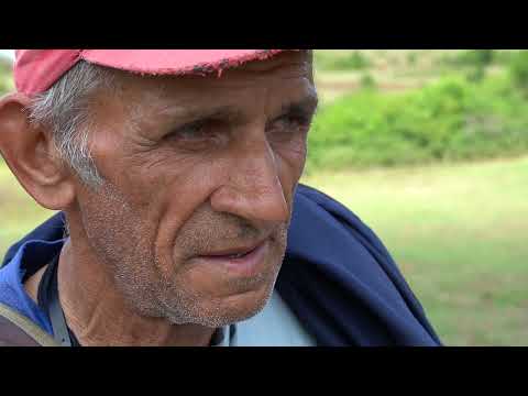 Veterinari bez granica ep. 66 12.08.2020. Karakačanska ovca, autohtone rase, Stara planina