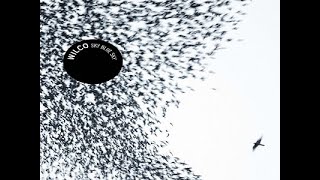 WILCO ~ &#39;Shake It Off&#39; (1080p)