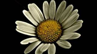 John Digweed - Torch (Extrawelt Remix)