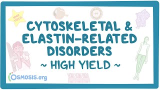 Cytoskeleton and elastin disorders: Pathology review