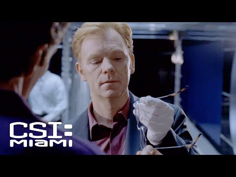 Investigators Examine Evidence on Man's Glasses